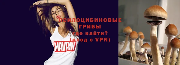 соль курить ск Алзамай