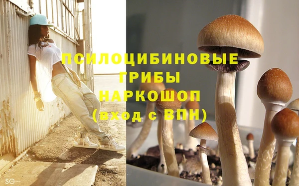 синтетический гашиш Алексеевка